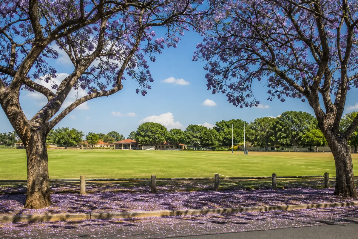 Leafy residential streets and the Rietondale park area in Rietondale, within HoneySucker's Pretoria Central septic service coverage